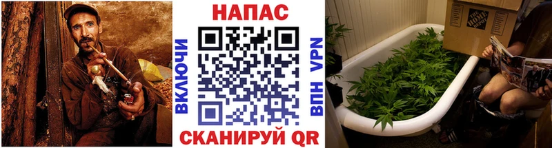 Виды наркоты Гороховец Марихуана Альфа ПВП ГАШ