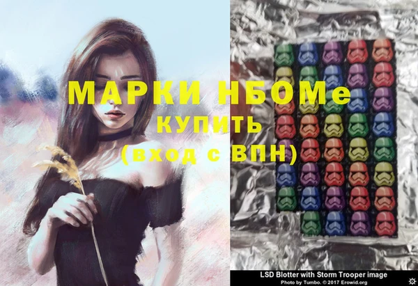 мдпв Бородино