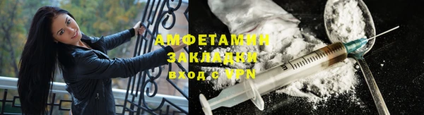 мдпв Бородино