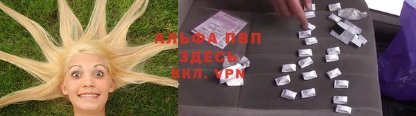 мдпв Бородино