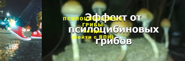 mix Верея