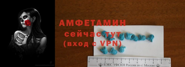 мдпв Бородино
