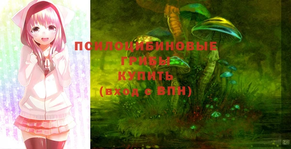 сатива Верхнеуральск