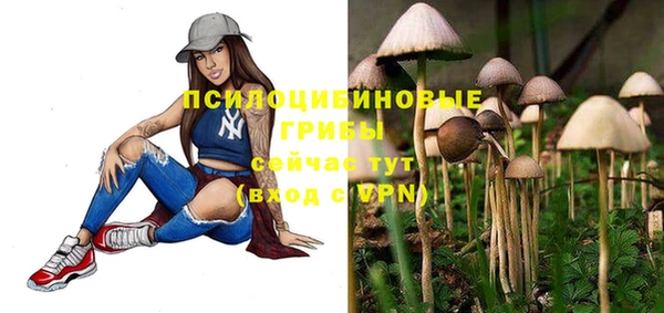 стаф Бугульма