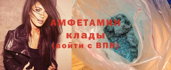 мдпв Бородино