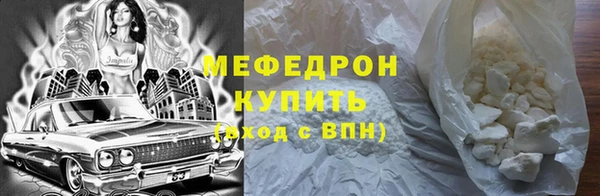 мдпв Бородино
